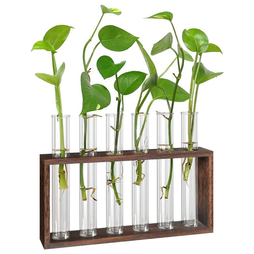 Pental Propagation Frame