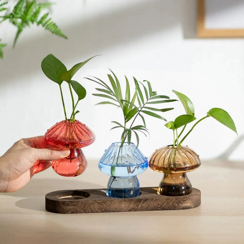 Mushroom Propagation Vase Collection