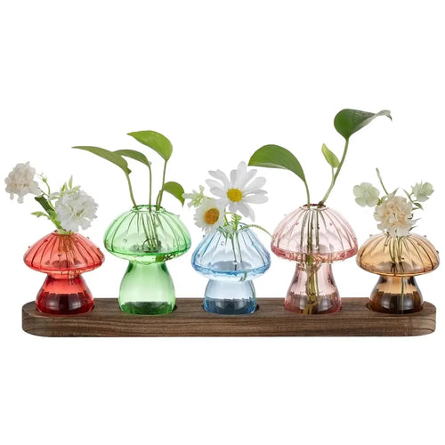 Mushroom Propagation Vase Collection