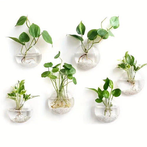 Floating Glass Propagation Bulbs